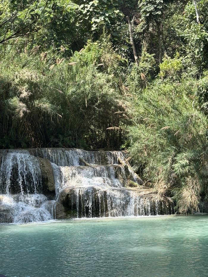 A turquoise pool below a small waterfall in the jungle